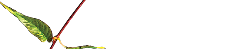 mind changing banner